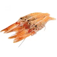 SURGELATI PESCE ITTITALIA SCAMPI 17/20 GR.750