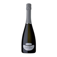 PROSECCO BRUT DOCG SUPERIORE VALDOBBIADENE MILLESIMATO CL.75 11,5° COL DE’ SALICI