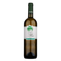 VINO B. MARCHE BIANCO DI GINO 2021 CL.75 13,5° SAN LORENZO