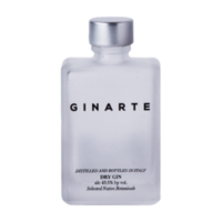 GIN DRY GINARTE 43,5° ML.50