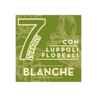 FUSTO BIRRA PORETTI 7 LUPPOLI BLANCHE LUPPOLATA MODULAR LT.20 5,3°