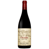 VINO R. PINOT NERO FOCARA 2021 CL.75 13° MANCINI