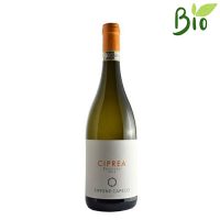 VINO B. PECORINO CIPREA 2022/2023 CL.75 13° CAPECCI