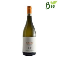 VINO B. PECORINO CIPREA 2022 CL.75 13° CAPECCI