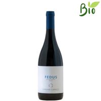 VINO R. SANGIOVESE FEDUS IGP 2021/2022 CL.75 14° CAPECCI