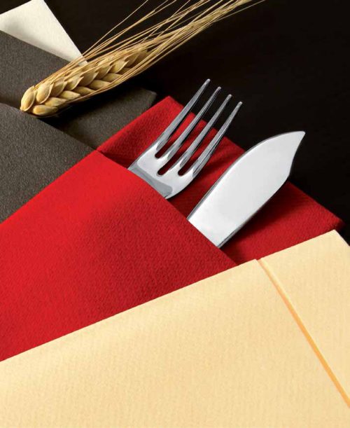 TOVAGLIOLI 40X30 POCKET MARRONE X 50 PIERROT