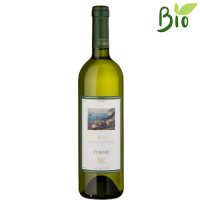 VINO FURORE BIANCO DOC 2021 CL.75 13,5° MARISA CUOMO