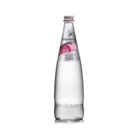 ACQUA SAN BENED. NAT. LT. 0,50 X 20 VAR
