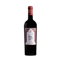 VINO R. SANG. CABERNET SAUVIGNON POGGIO D’ELSA 2020  13,5° CL.75 BRUNI