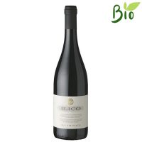 VINO R. MONTEPULCIANO D’ABRUZZO ILICO 2020 CL.75 13.5° ILLUMINATI