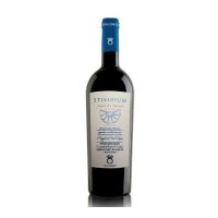 VINO R. NERO DI TROIA IGP PUGLIA STIBADIUM 2014 CL.75 14° COPPADORO