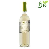 VINO B. CHARDONNAY IGP PUGLIA 5 VIE/SPIAVENTO 13° CL.75 COPPADORO