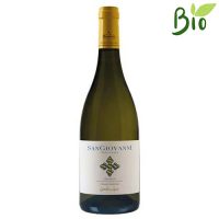VINO B. ORVIETO SUPERIORE SAN GIOVANNI 2023 CL.75 12.5° ANTINORI