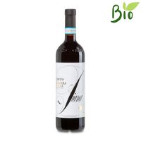 VINO R. BARBERA D’ALBA CL.75 14°  CERETTO