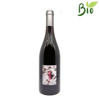 VINO R. COTES DU RHONE GRAMENON 2019 CL.75 14° POIGNEE DE RAISINS CERETTO