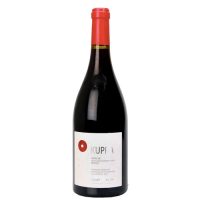 VINO R. MARCHE IGT KUPRA 2017 CL.75 OASI DEGL’ANGELI