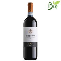 VINO R. MONTEFALCO ROSSO ZIGGURAT DOC BIOLOGICO 2018 CL.75 14° TENUTE LUNELLI