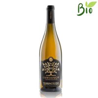 VINO B. BIANCHELLO METAURO SUP. CAMPODARCHI CL.75 2019 12,5° TERRACRUDA