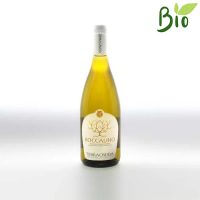 VINO B. BIANCHELLO METAURO BOCCALINO 2020 CL.37,5 12,5° TERRACRUDA