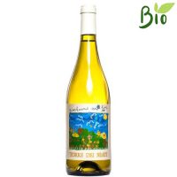 VINO B. PECORINO ABRUZZO GIOCHEREMO CON I FIORI DOC 2022/2023 CL.75 13,5° TORRE DEI BEATI