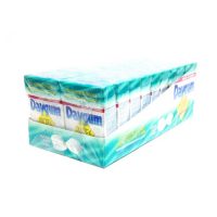 PERFETTI DAYGUM PROTEX AST. X 20